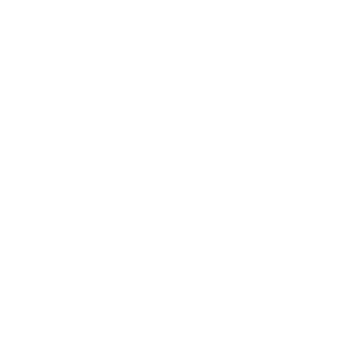 ESTEY VACANCES LOGO BLANC